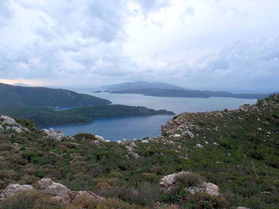 Sakin Vadi Winehouse