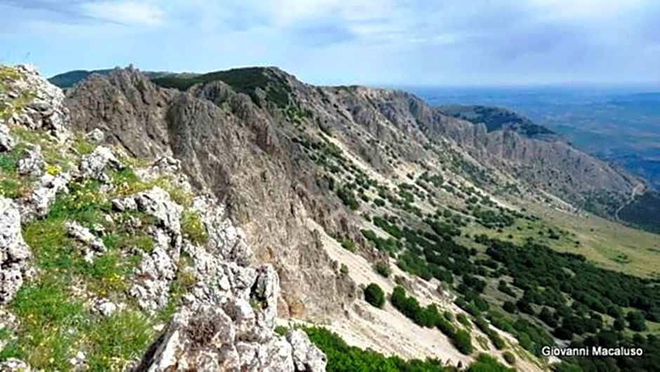 Hotel Residenza Petra