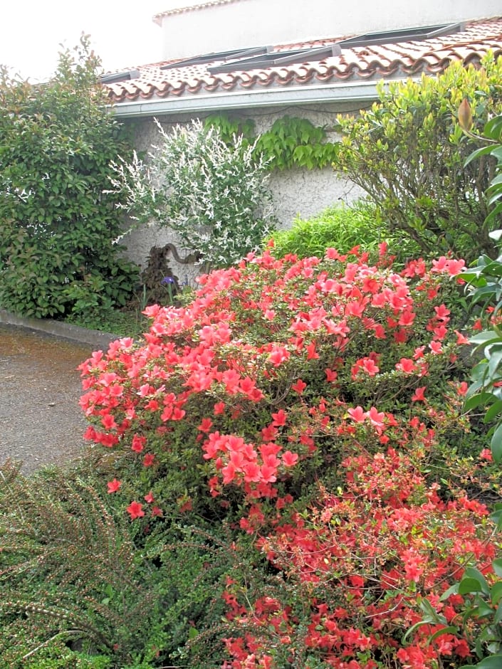 Chambres d'Hôtes Le Mûrier