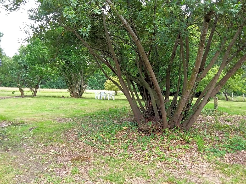 maison d'hôtes labastide