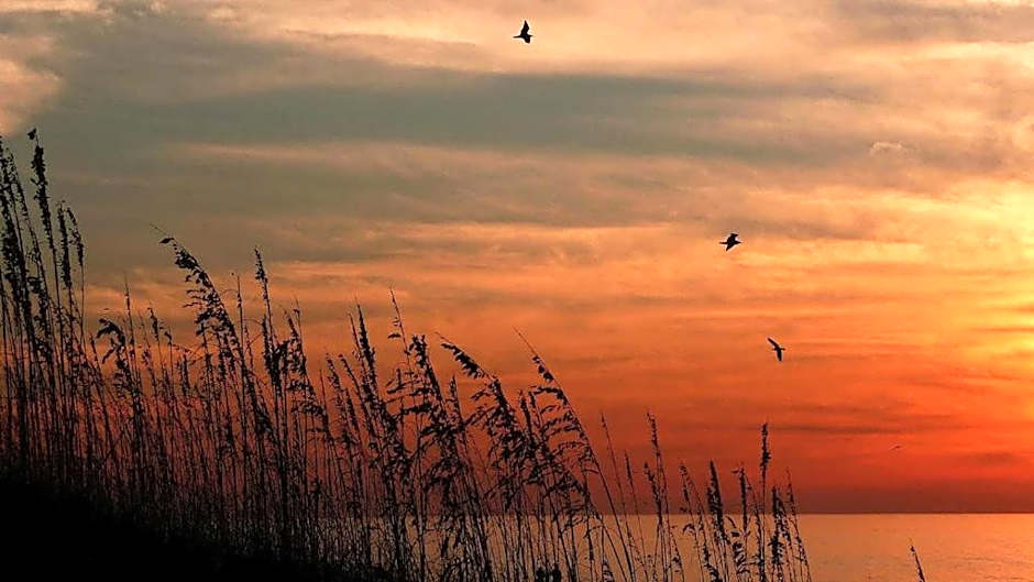 Beach Palms- Unit 102