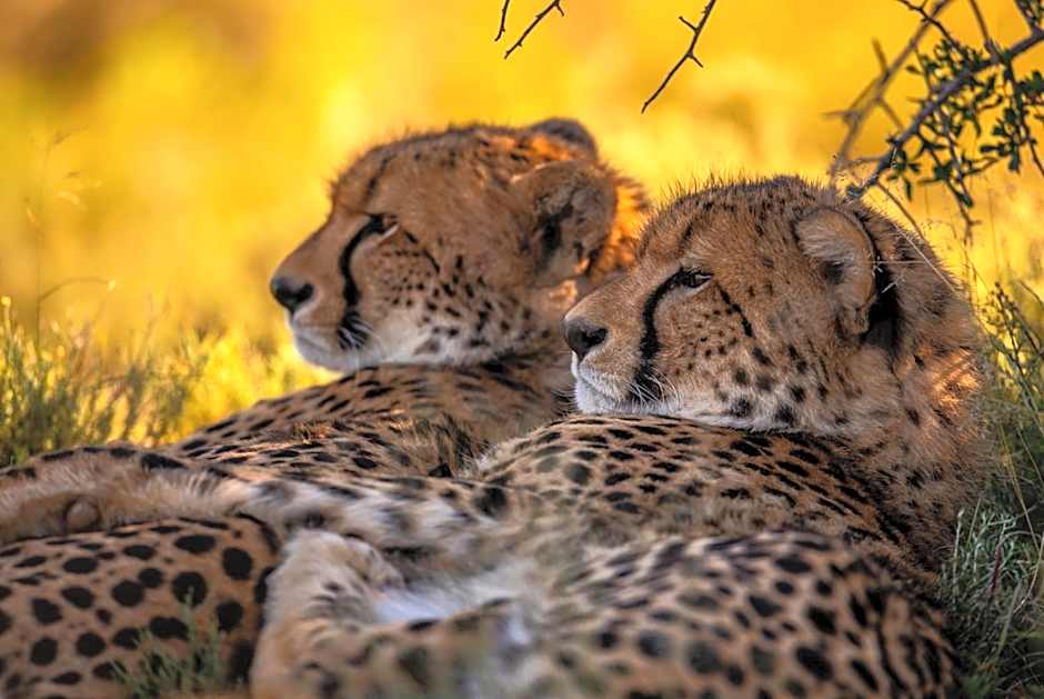 Samara Karoo Reserve