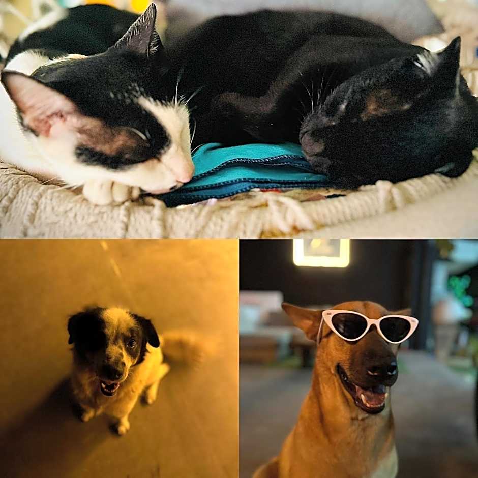 MBAR HOSTEL HAAD RIN