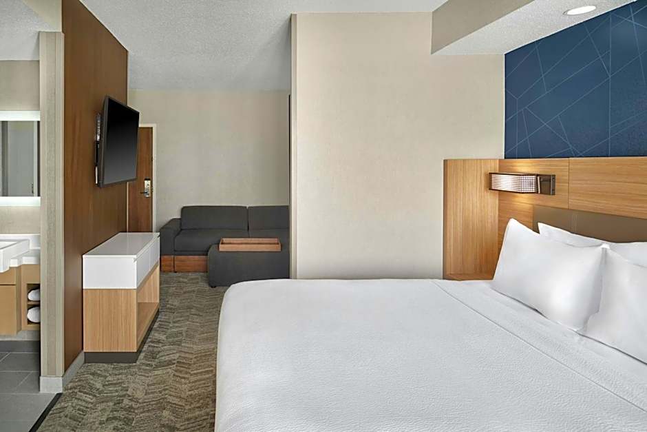 SpringHill Suites by Marriott Lansing