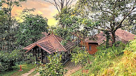 Vythiri Mist Resort
