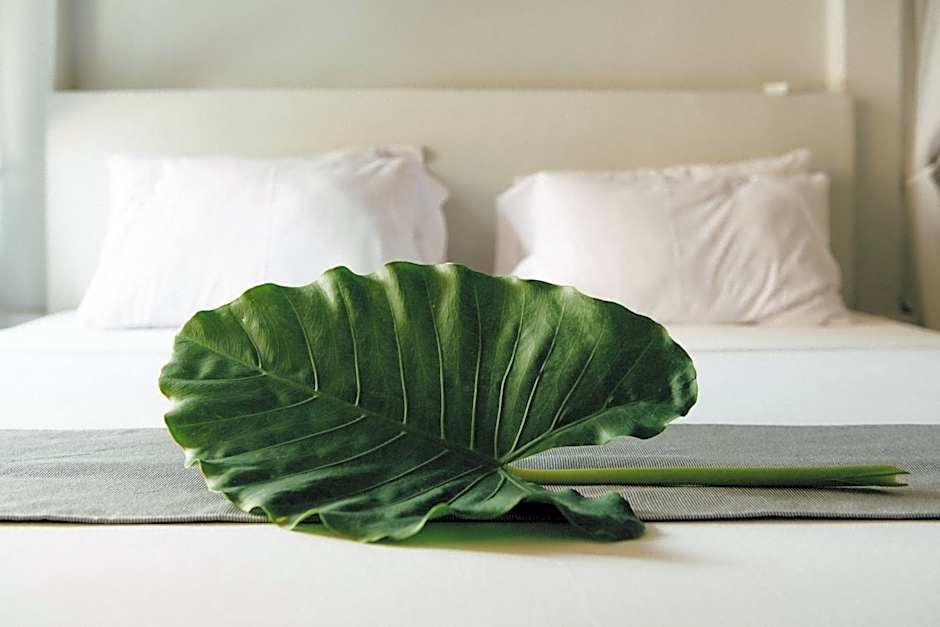 Paje Beach Apartments & Hotel