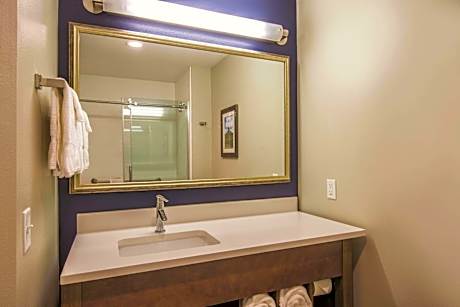 1 King Bed Deluxe Mobility Accessible Room Various Views Non-Smoking