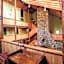 Snowy Owl Inn