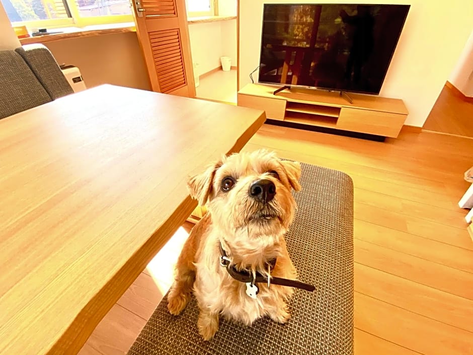 Hakuba Powder Mountain