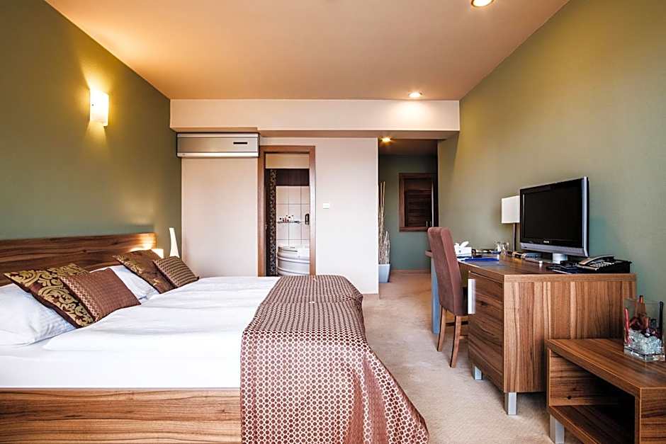 Hotel Comfort with free Wellness and Fitness Centrum