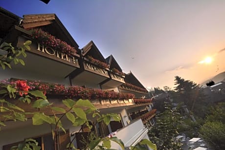 Hotel Alpenhof