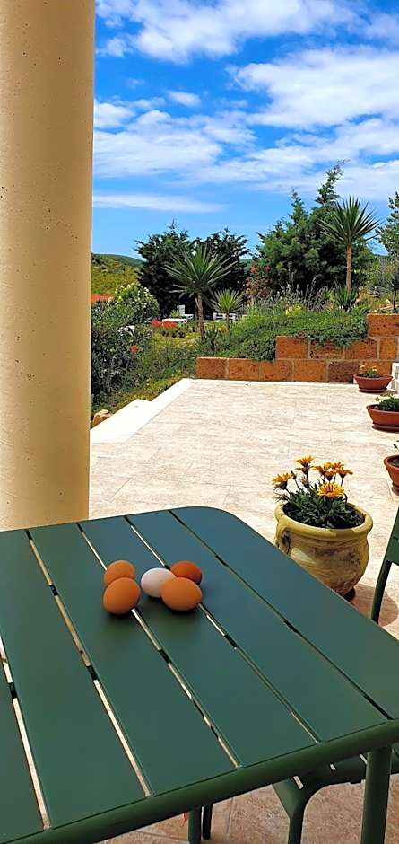 Domus Mare Cilento