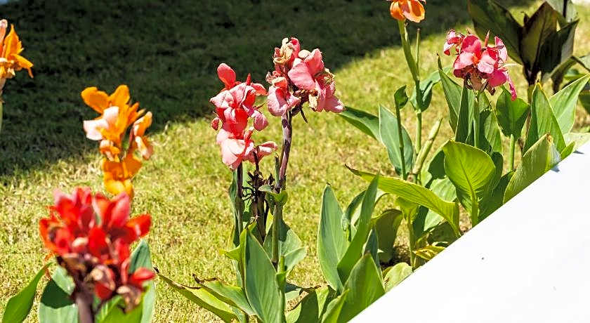 Aiora Suites by Booking Kottas