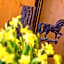 Hotel Alpino Al Cavalletto