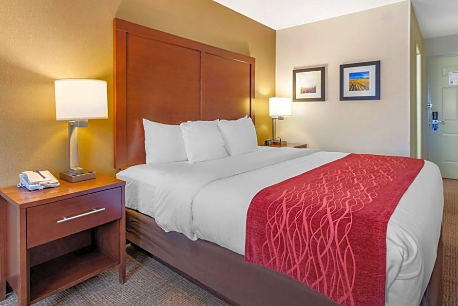 Comfort Inn Great Falls