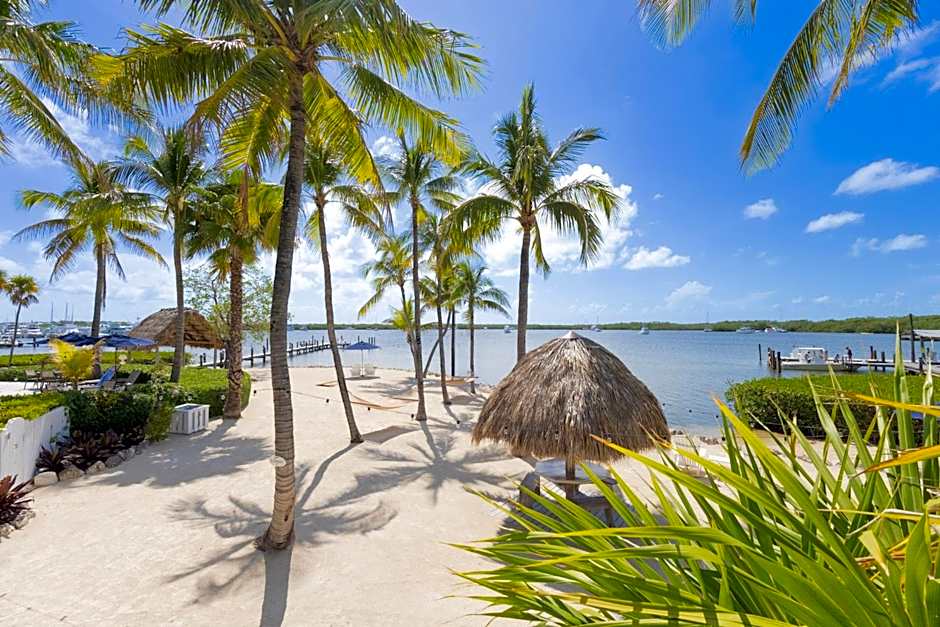 Coconut Palm Inn