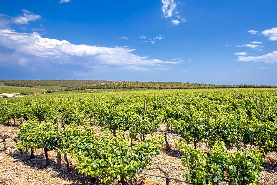 HOLIDAYLAND BAIE DES OLIVIERS VILLA 36m2 1chambre fermée 6 couchages ou VILLA 41M2 2chambres fermées 7 couchages