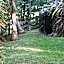 Koromatua Homestead