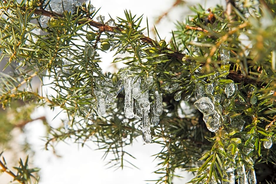 Biobauernhof Obereck