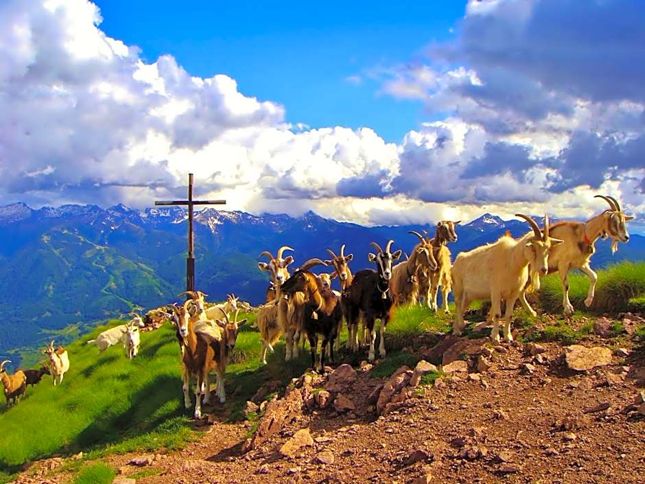 Berghotel Jochgrimm - Your Dolomites Home