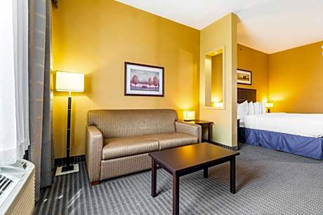 King Room with Sofa Bed - Non-Smoking