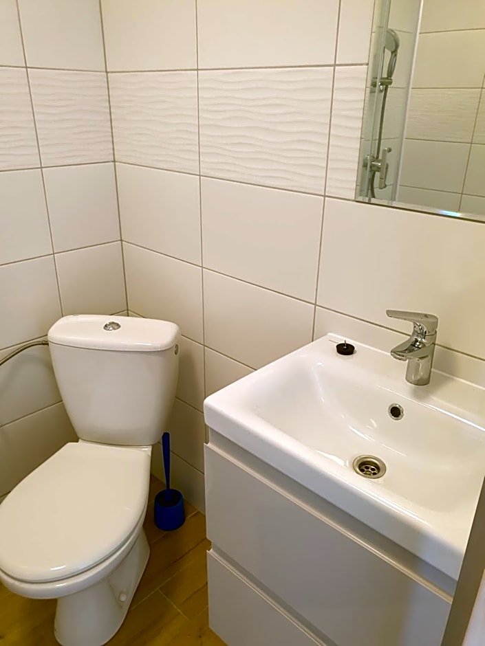 Szara Gąska w Gąskach