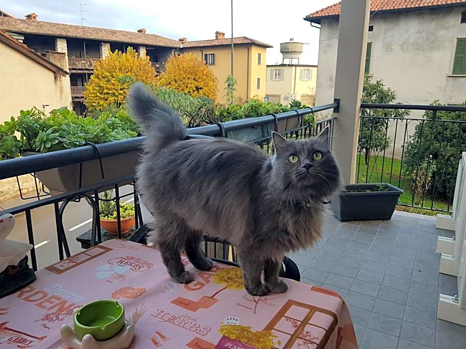 Affittacamere Erbagatta