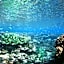 Mackerel Islands