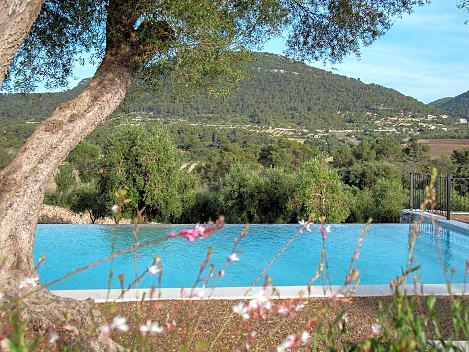 Fincahotel Treurer - Olive Grove & Grand House - Adults Only