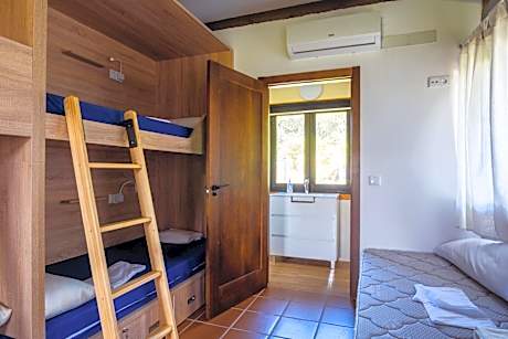 Bunk Bed in Mixed Dormitory Room
