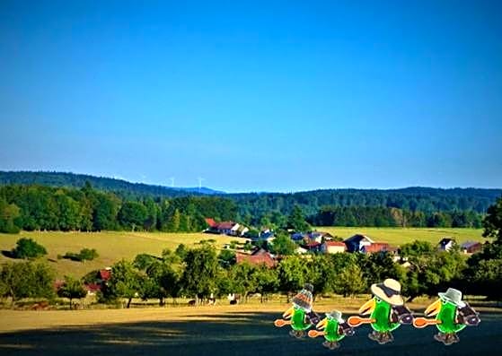Grünvogels Landgasthof zum Grünen Baum