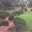Springwood Inn