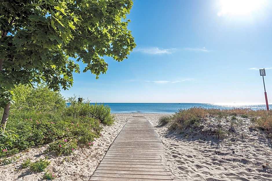Meduza Sopot