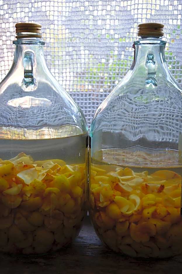 Stara Szkoła w Harszu