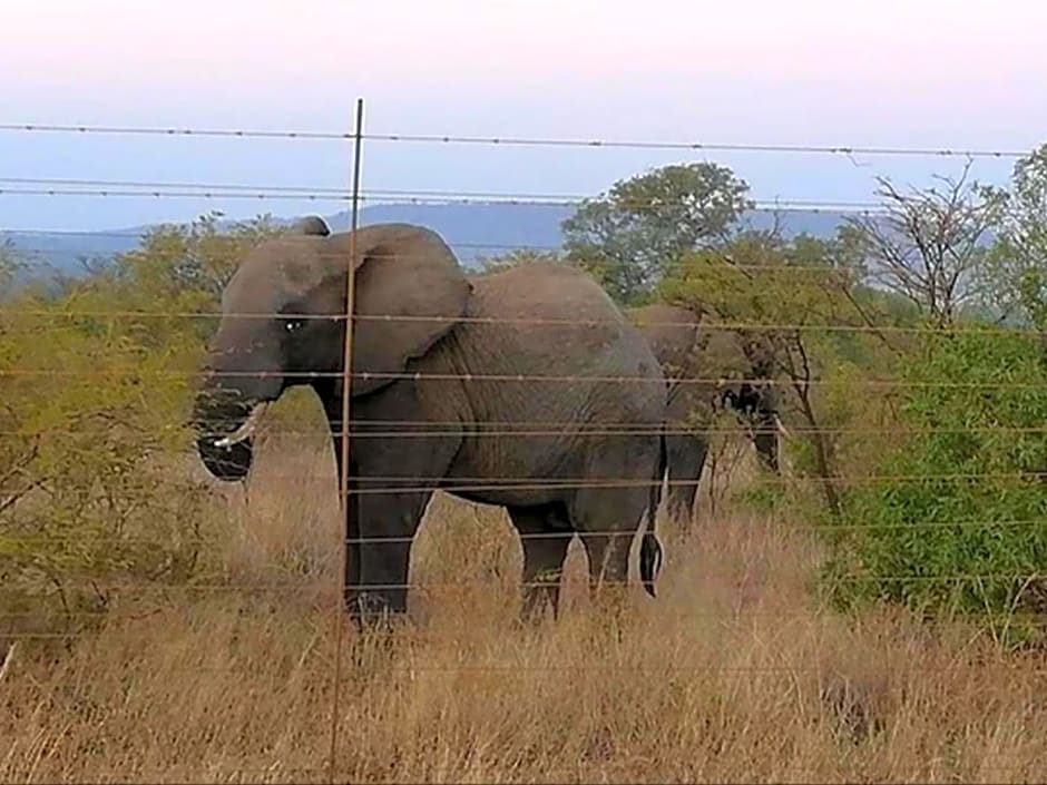 Geluksfontein Private Game Farm