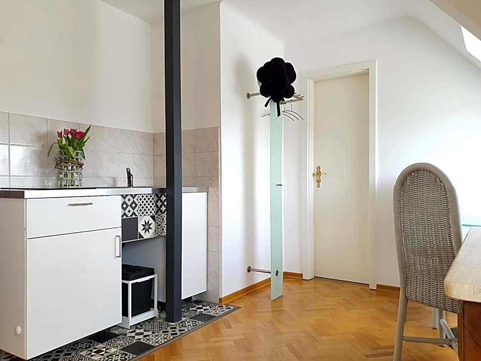 Apartment Haus Pflingsteck nahe Europa Park Rulantica