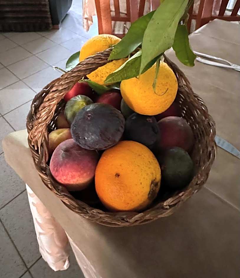 Hotel Ristorante Sturno