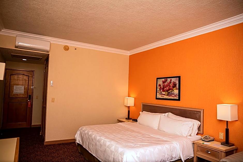 Holiday Inn La Piedad By IHG
