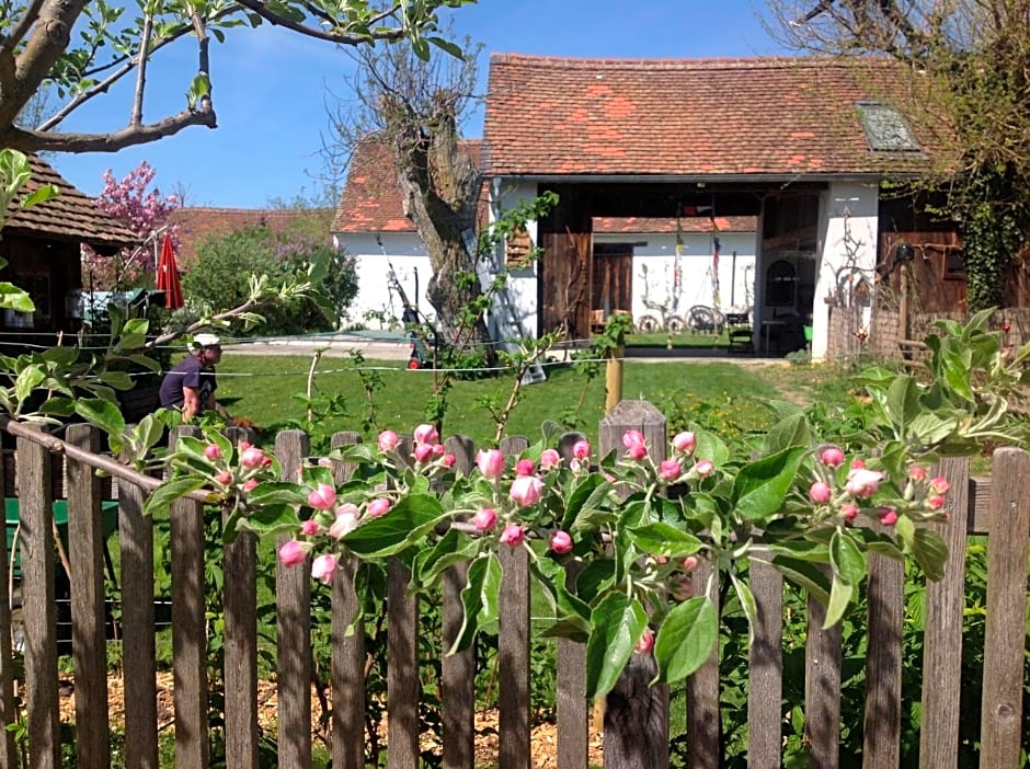 Bed & Breakfast Chez Lips