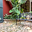 Inn On St. Peter, A French Quarter Guest Houses Property