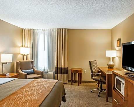 1 King Bed Non-Smoking