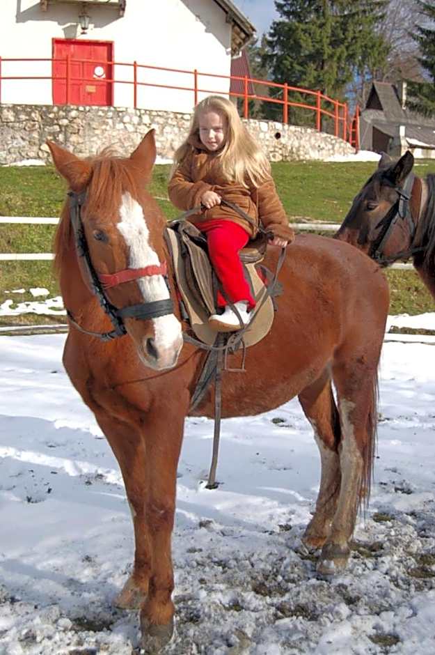 Centrul de Echitatie Poiana Brasov
