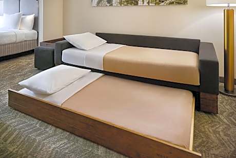 King Studio with Sofa Bed and Roll-in Shower - Mobility and Hearing Accessible