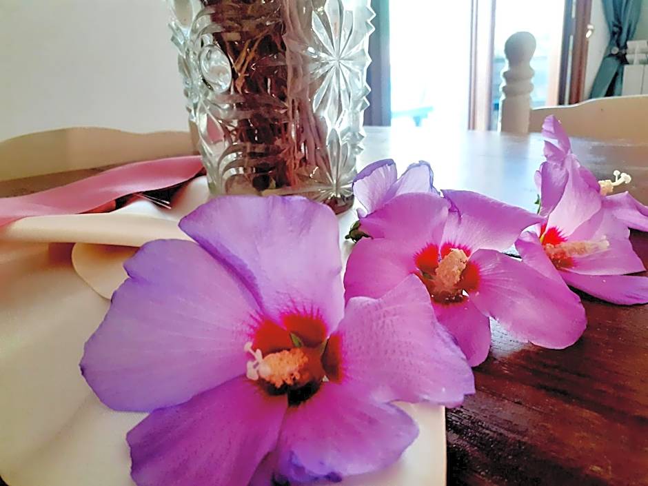 Le Terrazze Sul Pollino B&B