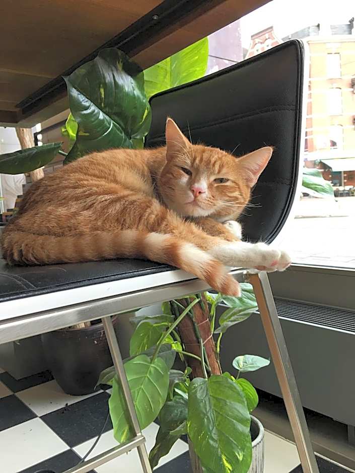 Hotel Mosaic City Centre