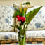 Indiana Boutique Hotel