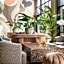 Brunfels Hotel, in the Unbound Collection by Hyatt
