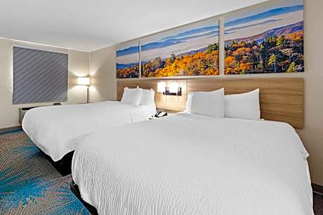 Deluxe Double Room with Two Double Beds - Non-Smoking