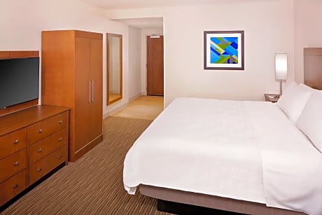 Standard Room 1 King Bed Accessible (Comm District View)
