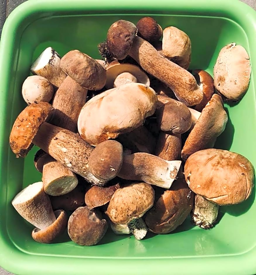 Pokoje Cztery Pory Roku